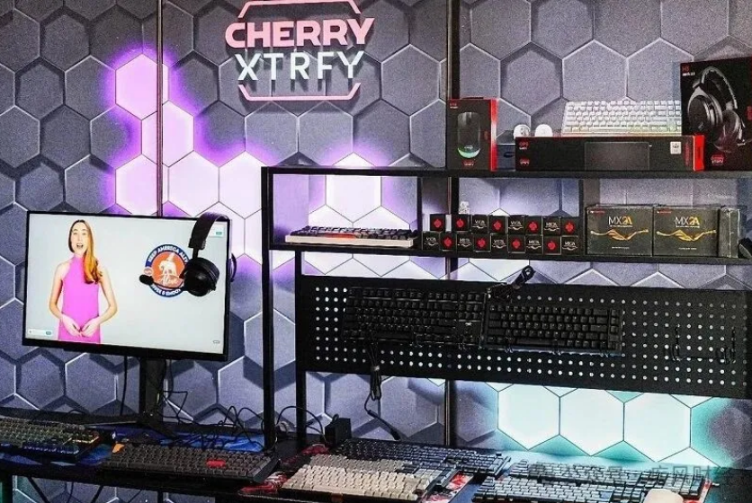 樱桃，键盘王者跌落神坛