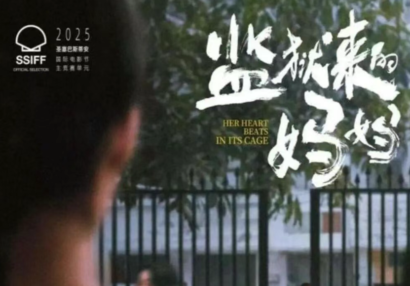 疾风财经｜“监狱”骗局背后：一名导演可能踩到的刑法红线